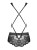 853-TED-1 body